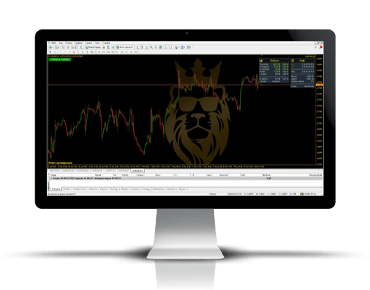 WSB Finex