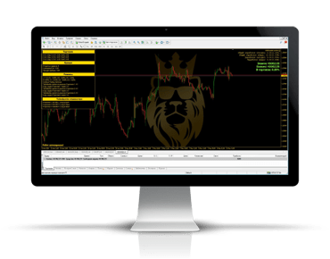 WSB Safe-X